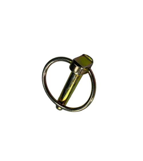 GOUP. CLIPS