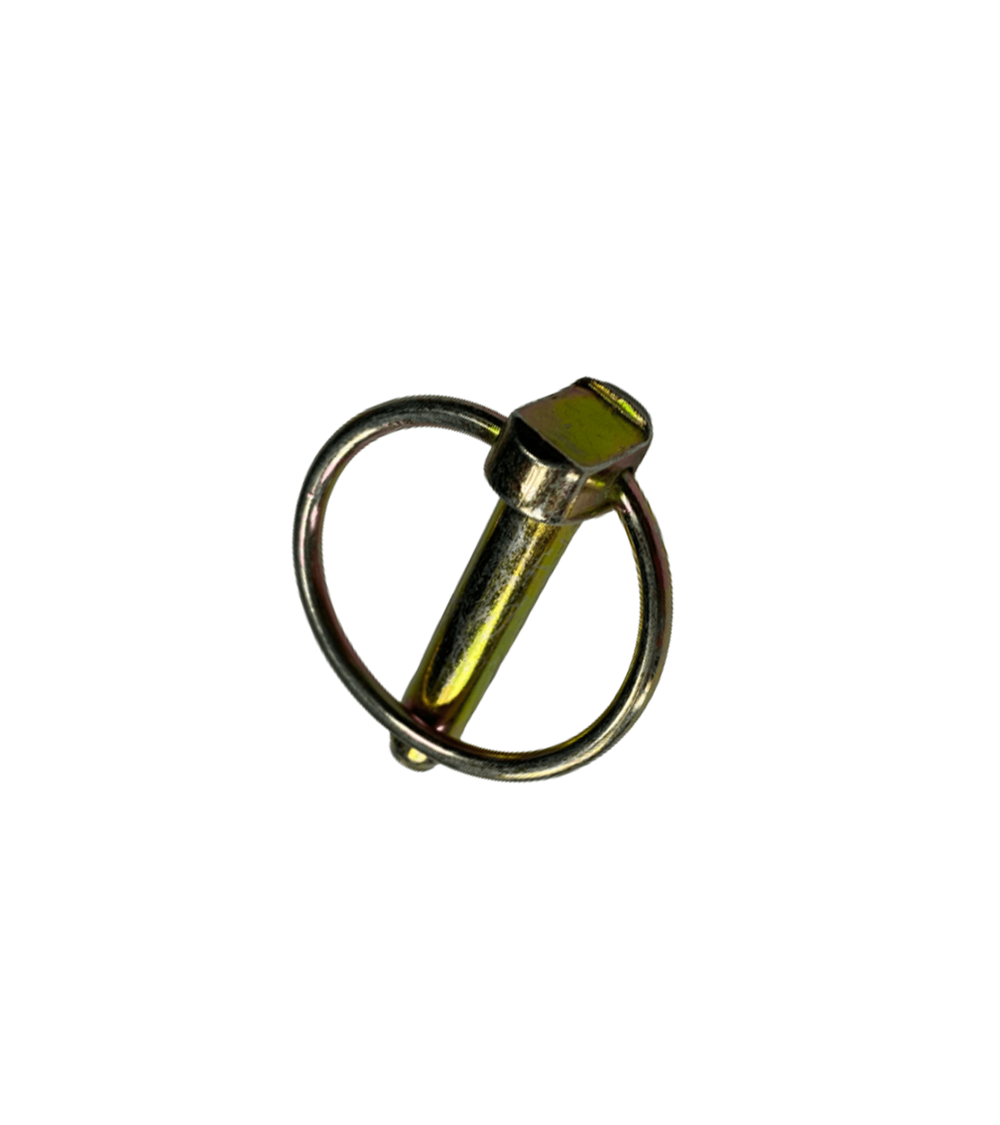 GOUP. CLIPS