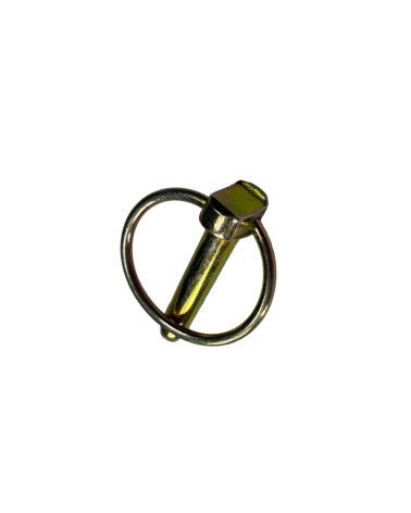 GOUP. CLIPS