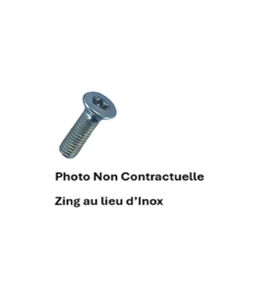 VIS METAUX F T - 6 LOBES INTERNES