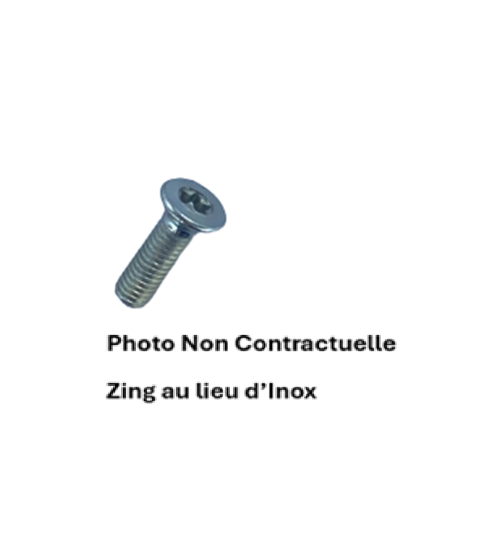 VIS METAUX F T - 6 LOBES INTERNES
