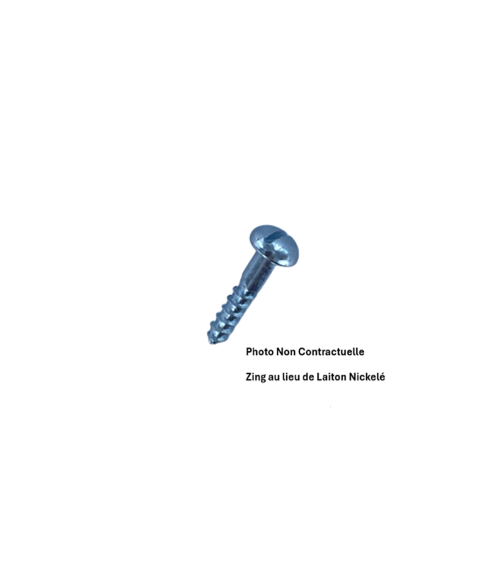 VIS BOIS RS RONDE FENDUE