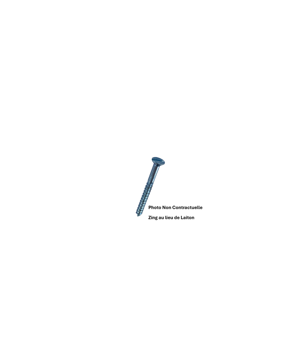 Vis bois fs fraisée fendue 970B0025008