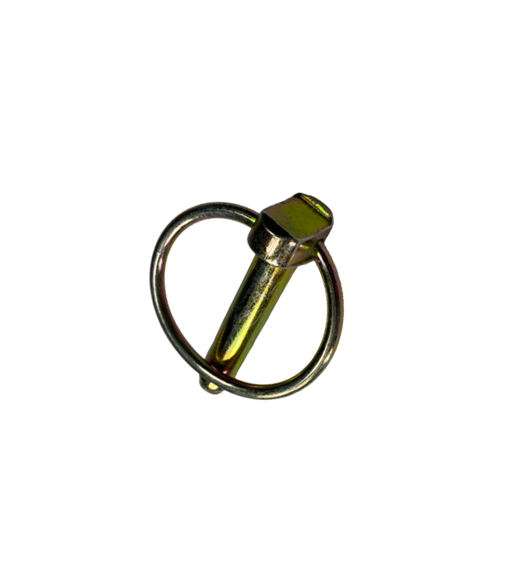 GOUP. CLIPS