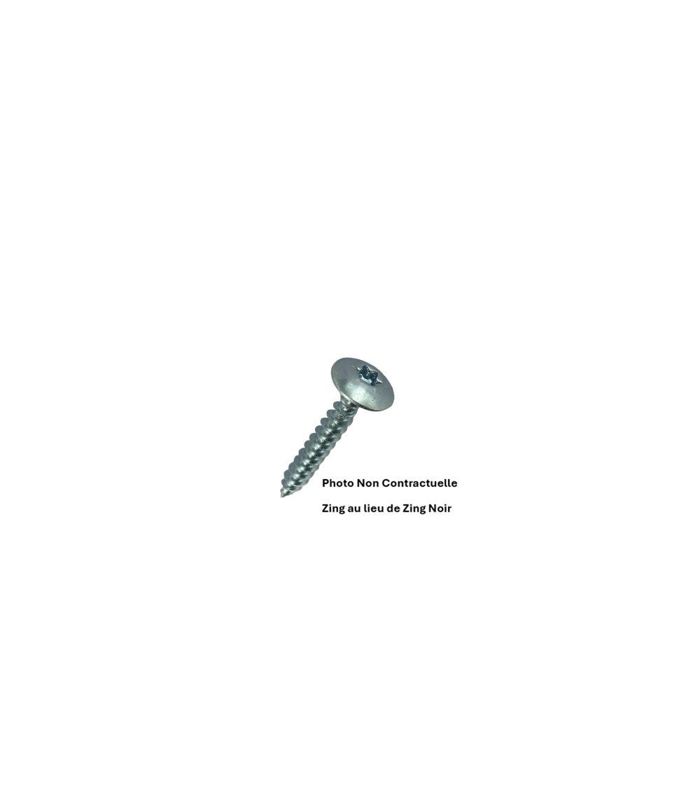 VIS POUR PENTURE TORX 6 LOBES - RL