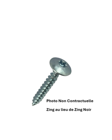 VIS POUR PENTURE TORX 6 LOBES - RL