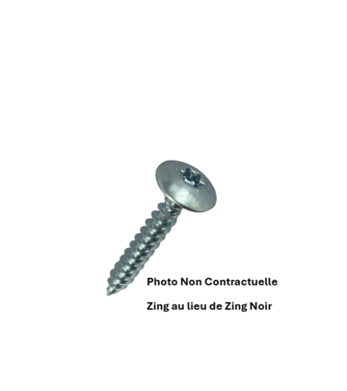 VIS POUR PENTURE TORX 6 LOBES - RL