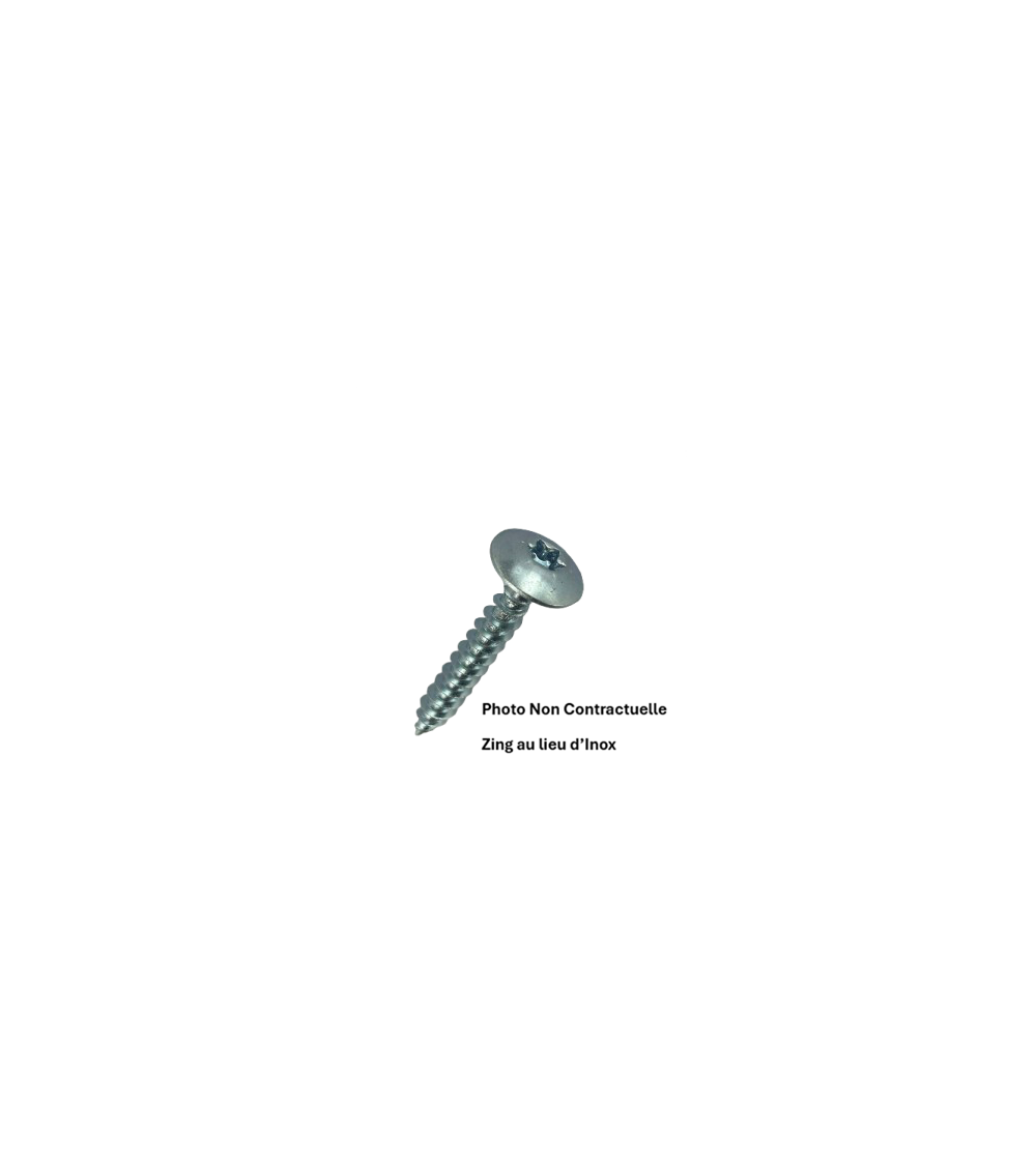Vis pour penture Torx 6 lobes - RL inox A2