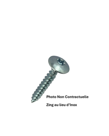 Vis pour penture Torx 6 lobes - RL inox A2