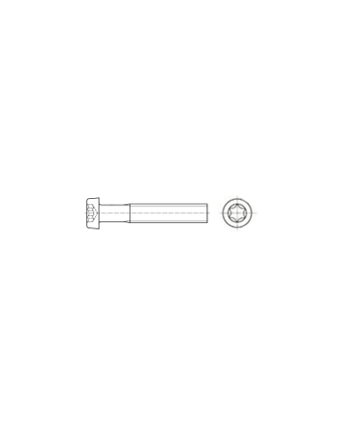 VIS 6 P/C.T.BASSE X - 6 LOBES INTERNES