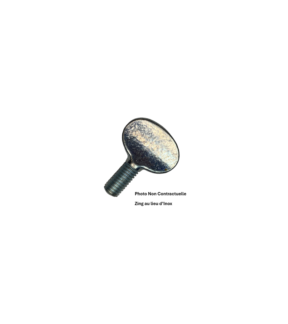 Vis violon inox A2