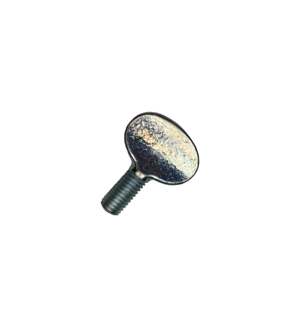 Vis violon