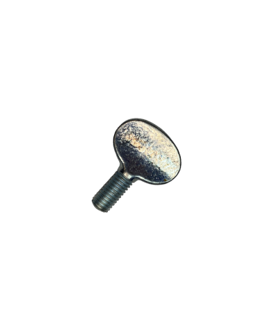 Vis violon