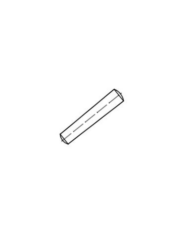GOUP.CONIQUES