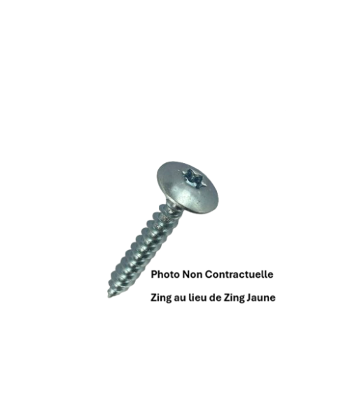 VIS POUR PENTURE TORX 6 LOBES - RL
