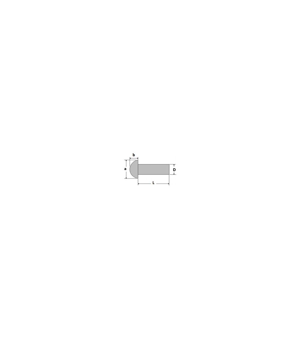 RIVETS PLEINS TR