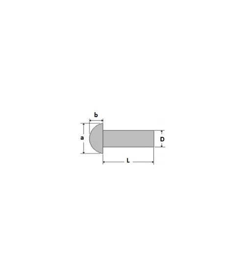 RIVETS PLEINS TR