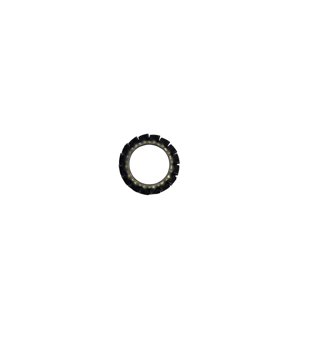 ROND.A DENTS A Exterieures