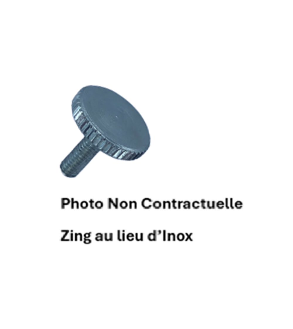 Vis moletees inox A1