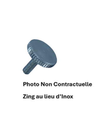 Vis moletees inox A1