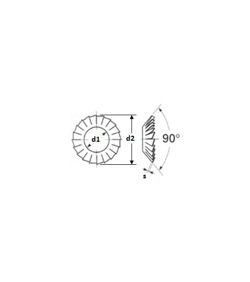 ROND.A DENTS V Exterieures Concaves