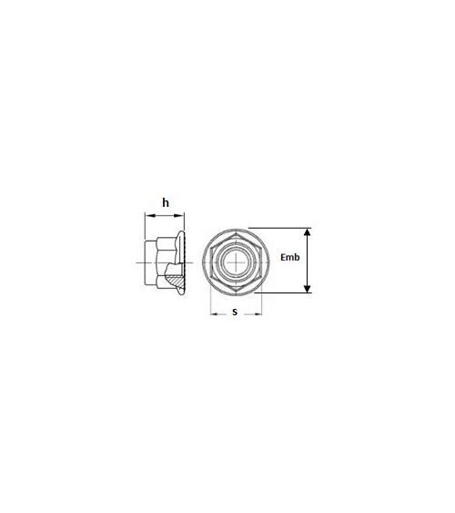 DIN6926 Inox A2 M20