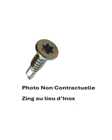 VIS AUTOPERCEUSES F T - 6 LOBES INTERNES