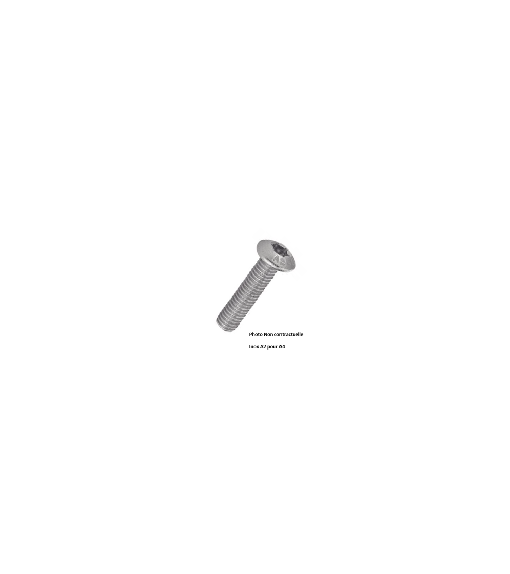 Vis à tête bombée six pans creux - RHC 73801A402003T