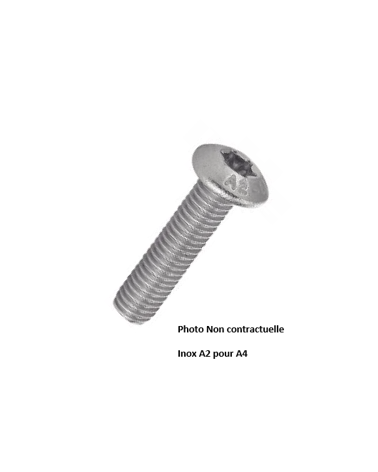 Vis à tête bombée six pans creux - RHC 73801A402003T