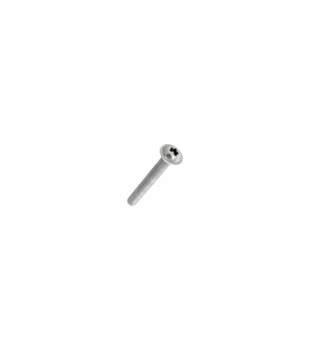 Vis à tête bombée six pans creux 7380210030061T