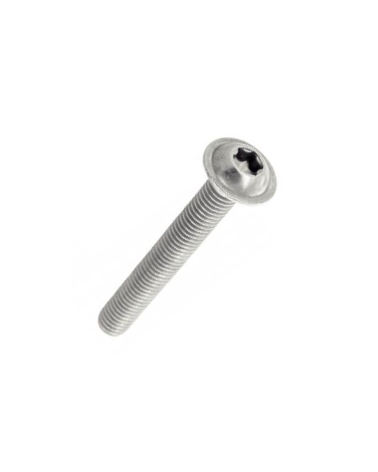 Vis à tête bombée six pans creux 7380210030061T