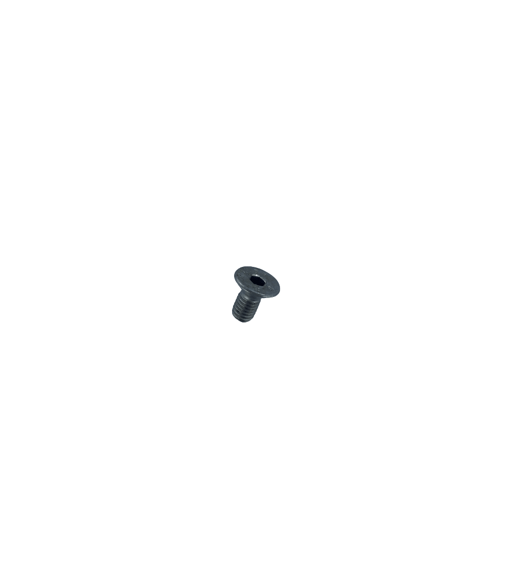 VIS 6 P/C.T.FRAISEE - FHC PART./FILETEE