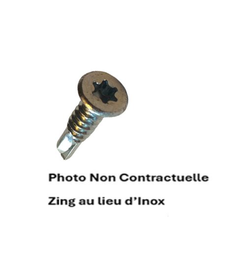 VIS AUTOPERCEUSES F T - 6 LOBES INTERNES