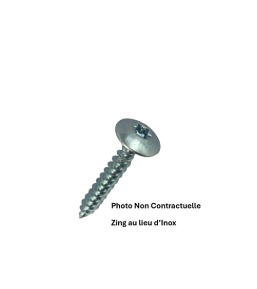 VIS POUR PENTURE TORX 6 LOBES - RL
