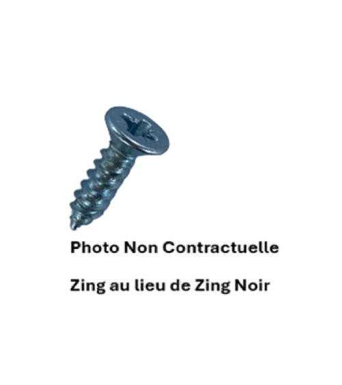 VIS A TOLE F Z - POZIDRIV