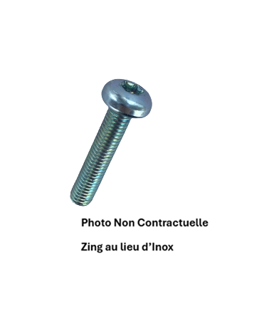 VIS METAUX CBL T - 6 LOBES INTERNES
