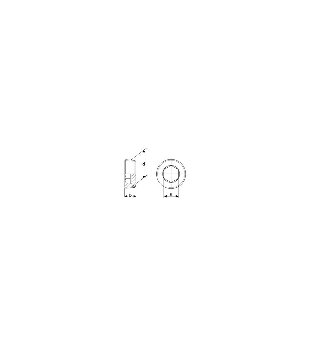 Bouchons six pans creux coniques pas DIN 906