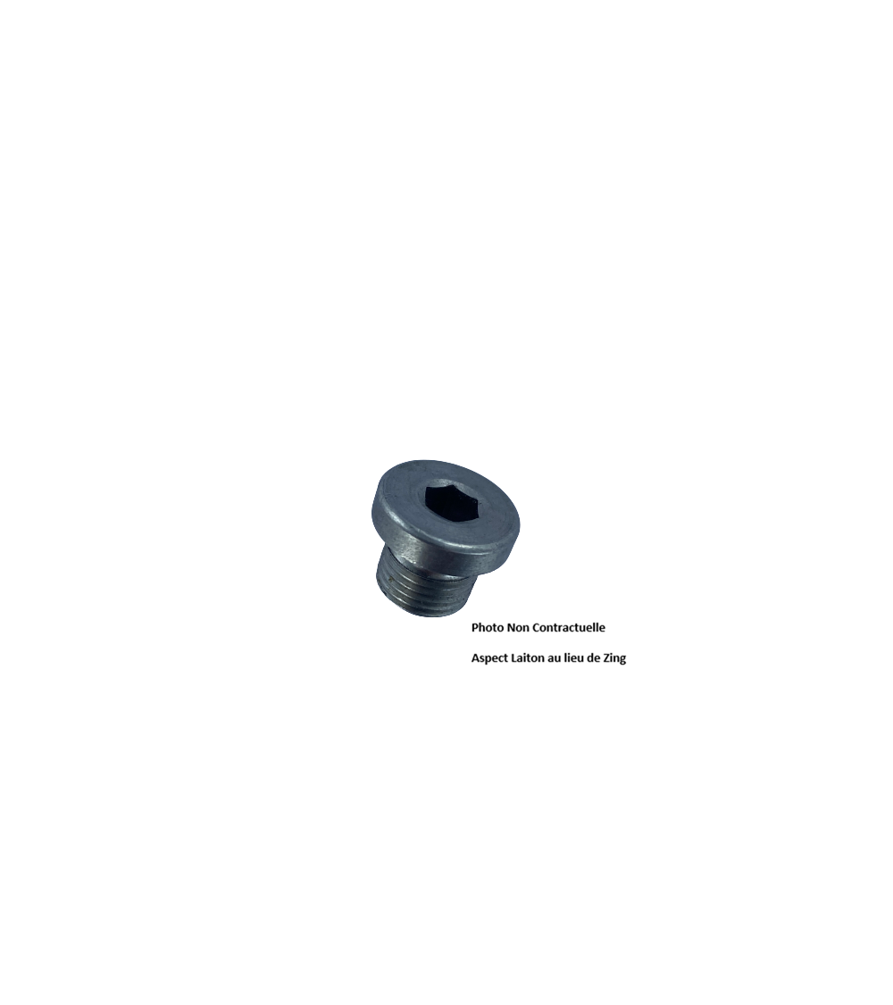 Bouchons six pans creux à collerette pas g 908BG12A
