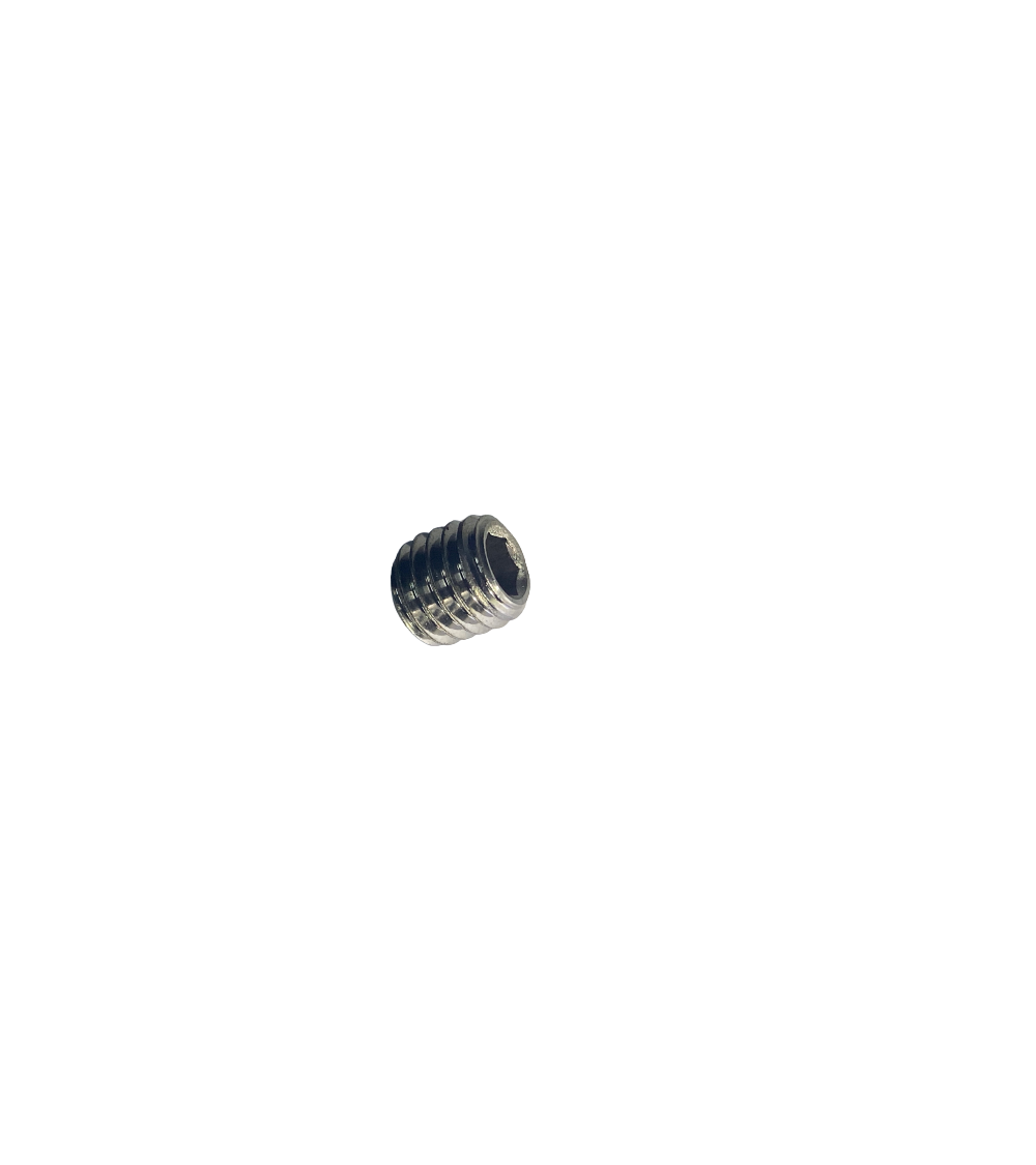Vis sans tête à six pans creux, bout cuvette inox A4