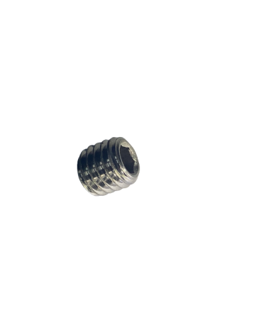 Vis sans tête à six pans creux, bout cuvette inox A4