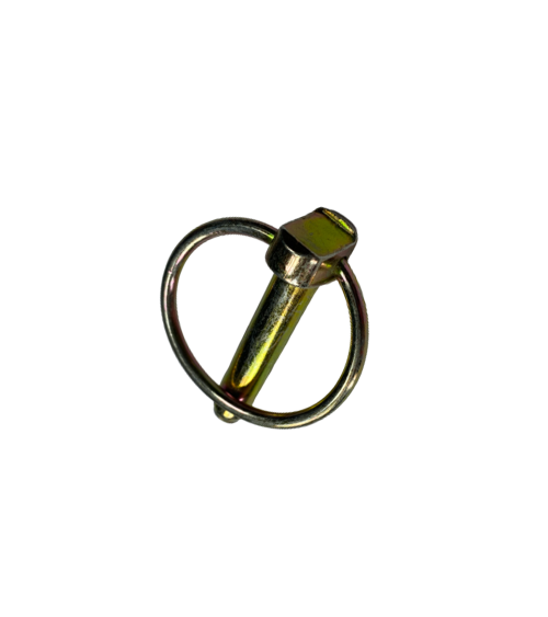 GOUP. CLIPS